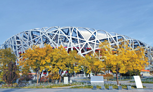 14 días Viajes del Patrimonio Mundial de China Nido de Pájaro