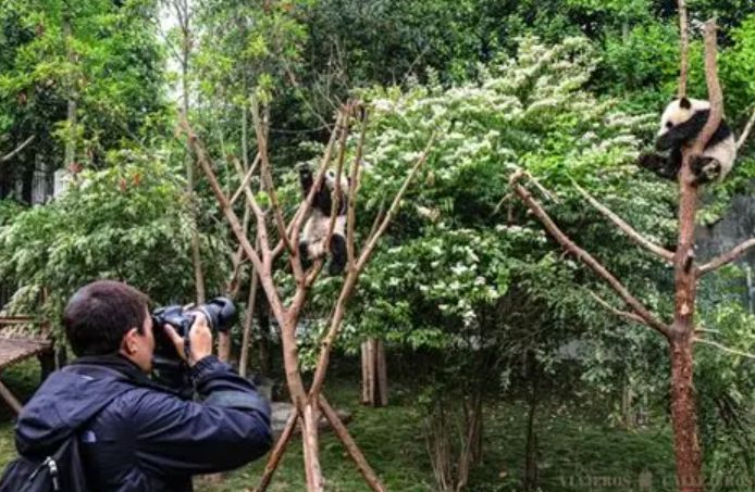 Espacio ecológico