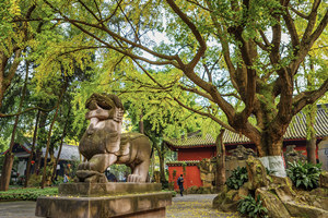 paisaje interior del Santuario de Wuhou