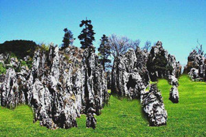 Grupo de Bosque de Piedra del Valle Muni