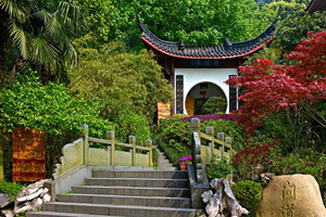 Longjing Wencha del Lago del Oeste