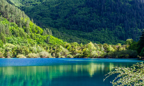 14 días Viajes del Patrimonio Mundial de China Valle de Jiuzhaigou