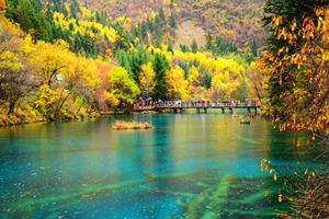Otoño del Valle Jiuzhaigou