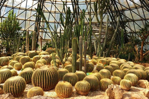 Jardín Botánico del Templo Dorado