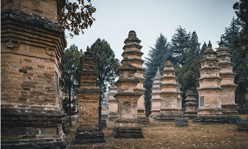 12 días Tour a China Bosque de Pagoda