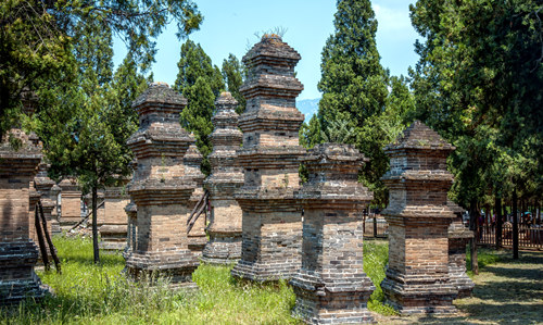 Bosque de Pagodas