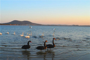 Mar de los Cisnes de Valle de Rize