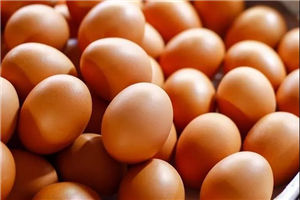 los-huevos.jpg