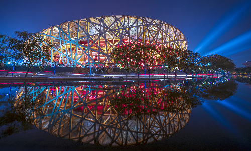 bird-nest
