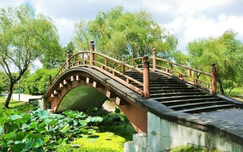 Summer View，Shanghai Century Park