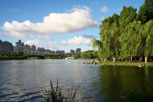 Jingtian Lake，Shanghai Century Park