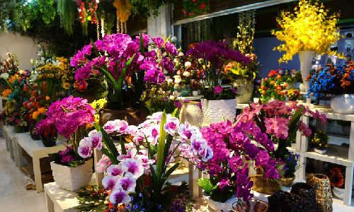 Kunming-Dounan-Flower-Market