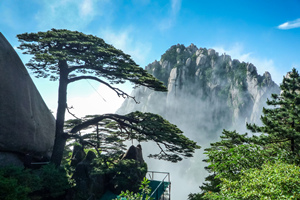 Valle dei Pini di Huangshan