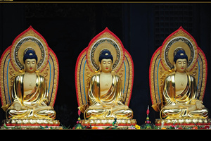 Statue del Buddha nel Monastero Wenshu