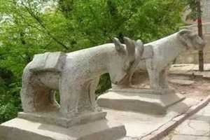 Capre che portano i mattoni