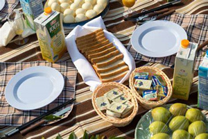 Pic-nic sulla Muraglia