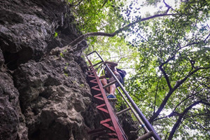 Scalini della Montagna di Laozhai Guilin