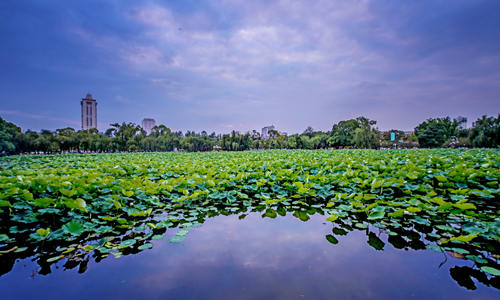 Parco del Lago Verde