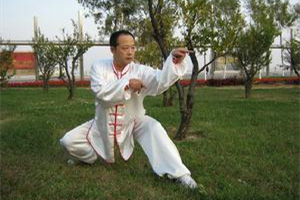 Kung fu della Mantide Religiosa