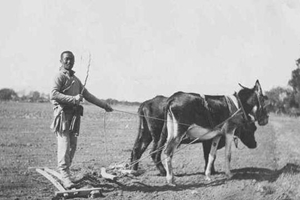 Contadino nell'epoca della dinastia Qing
