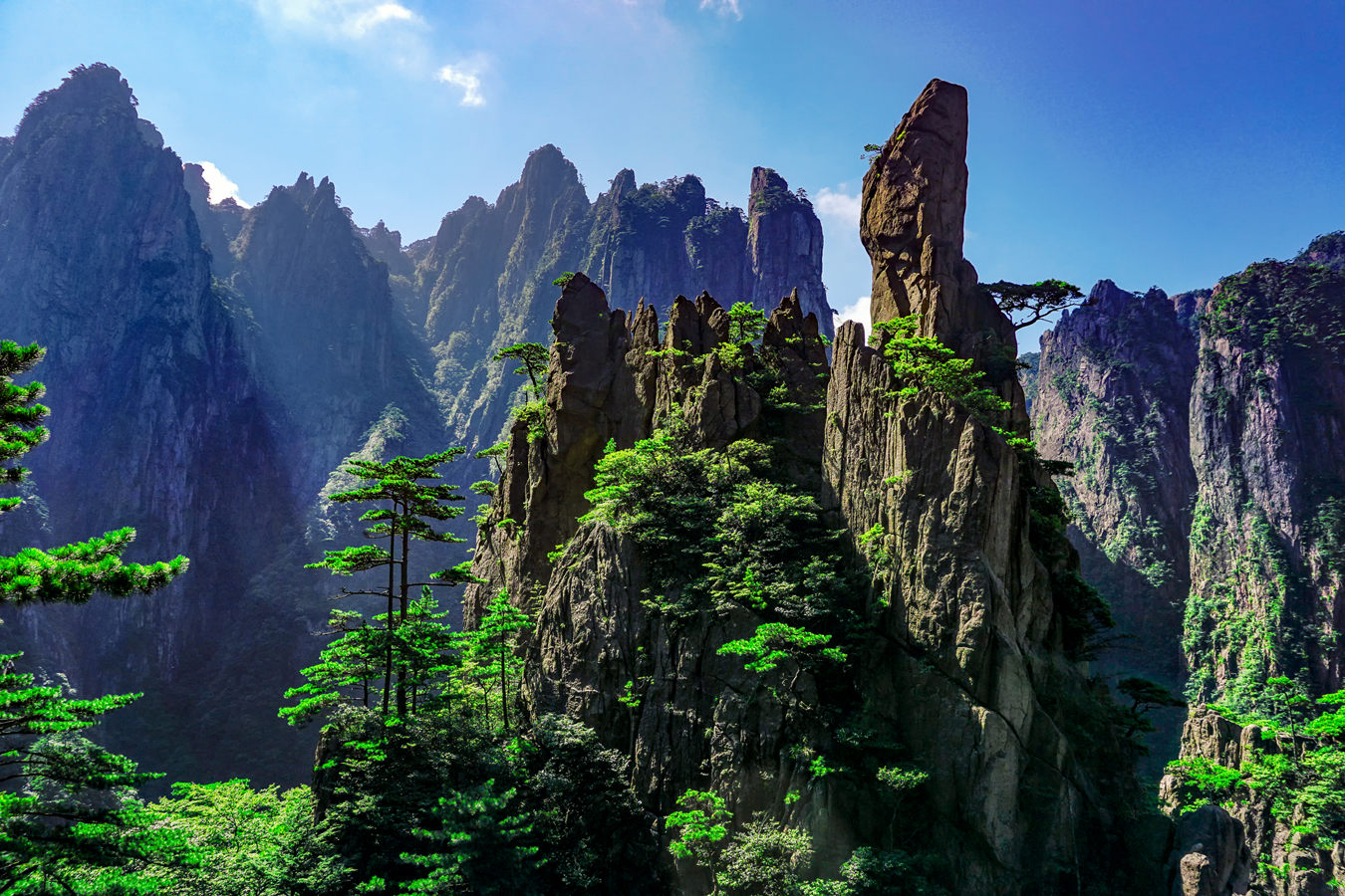 Viaggio per Vedere i Panda e le Montagne Gialle