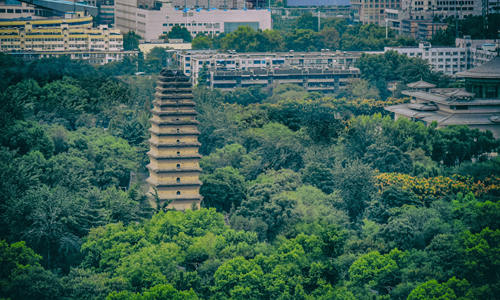 Piccola Pagoda dell'Oca Selvatica